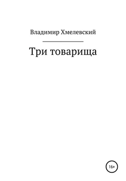 Владимир Хмелевский Три товарища обложка книги