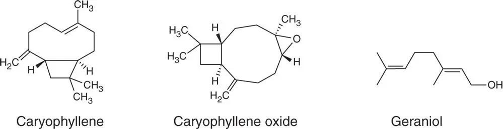 Secondary Metabolites of Medicinal Plants - фото 2