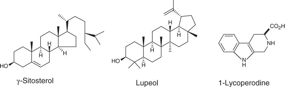 Secondary Metabolites of Medicinal Plants - фото 5