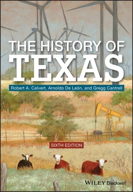 Robert A. Calvert The History of Texas обложка книги