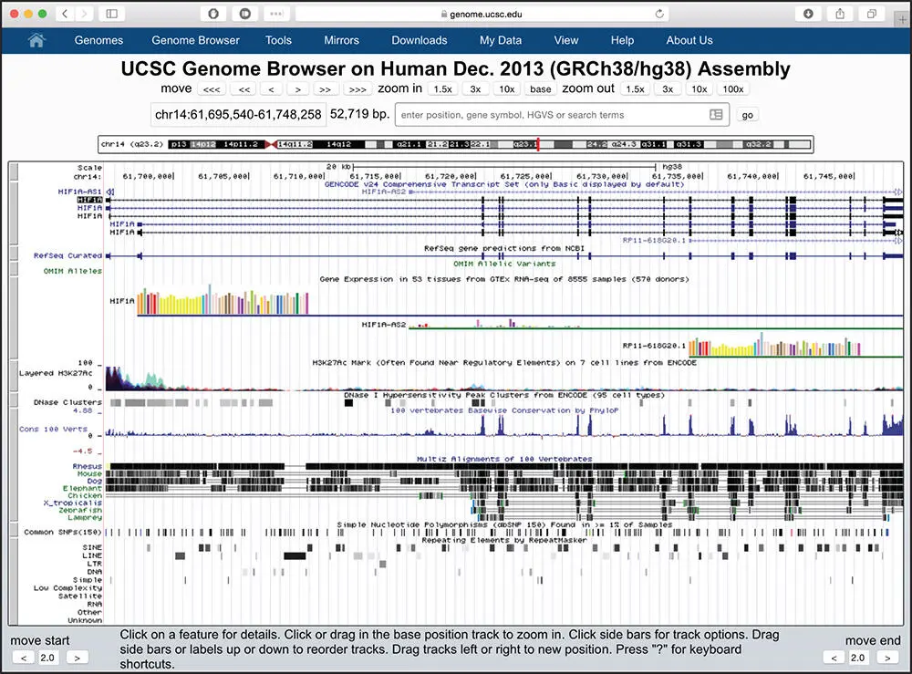 Figure 42 The default view of the UCSC Genome Browser showing the genomic - фото 53