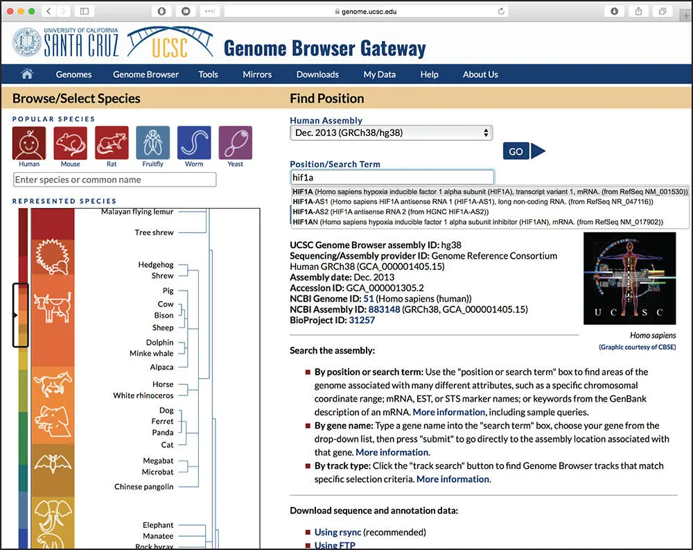 Figure 41 The home page of the UCSC Genome Browser showing a query for the - фото 52