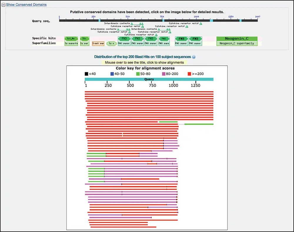 Figure 38 Graphical display of BLASTP results The query sequence is - фото 37