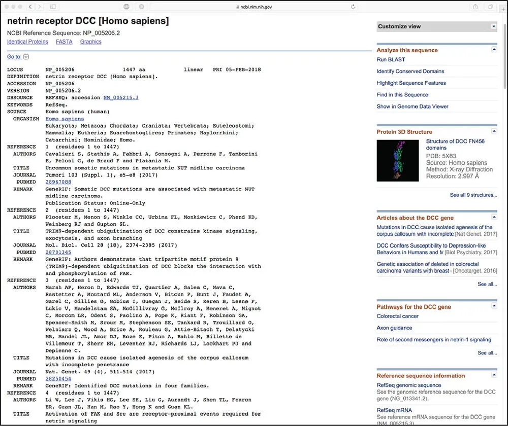 Figure 28 The RefSeq entry for the netrin receptor the protein product of the - фото 16