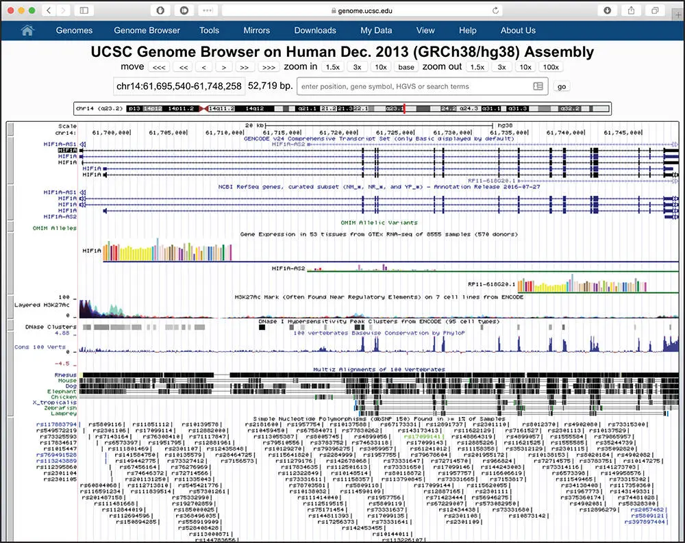 Figure 49 The genomic context of the human HIF1A gene after changing the - фото 60