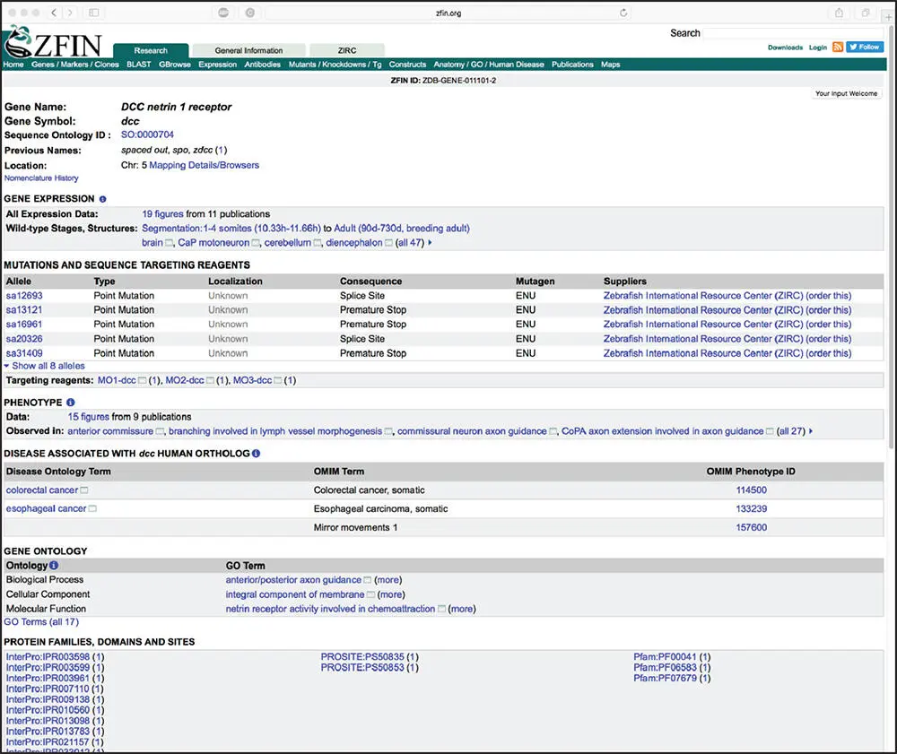 Figure 219 The Zebrafish Information Network ZFIN gene page for the dcc gene - фото 27