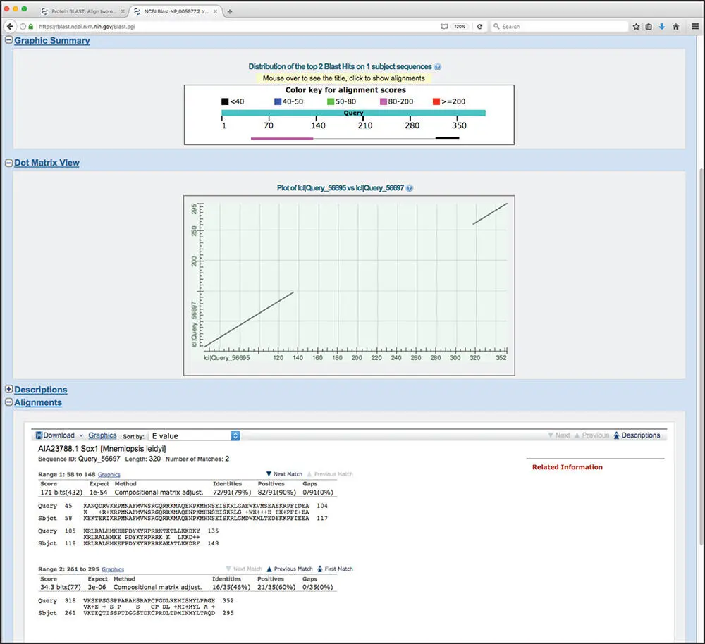 Figure 312 Typical output from a BLAST 2 Sequences alignment based on the - фото 41