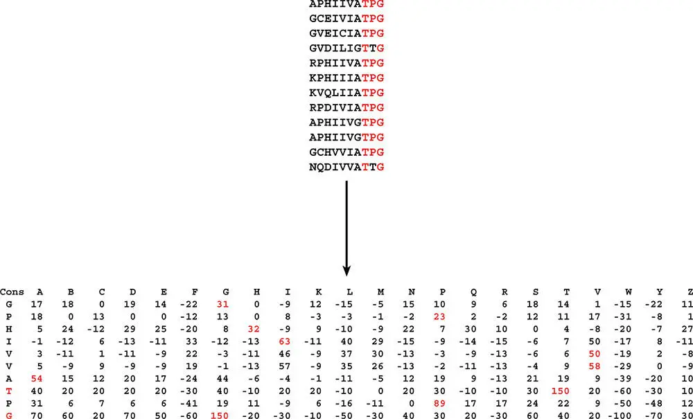 Figure 313 Constructing a positionspecific scoring matrix PSSM In the - фото 42