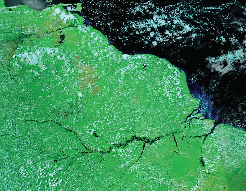 Figure 34 Satellite image showing plumes of sediment entering the Atlantic - фото 11