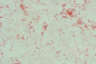 Figure 1a Figure 1b - фото 2