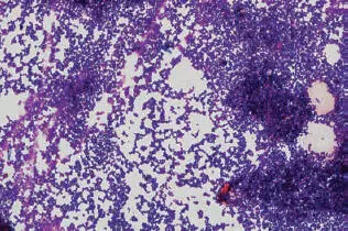 Figure 1b Figure 2 - фото 3