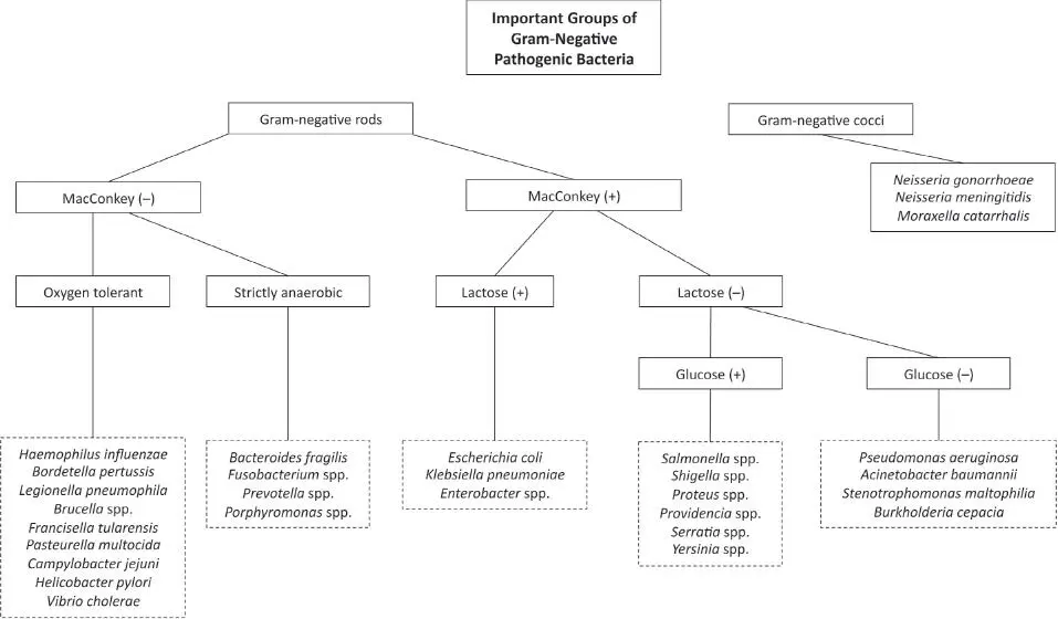 Figure 13 The third scenario is more subtle A patient comes to the hospital - фото 15