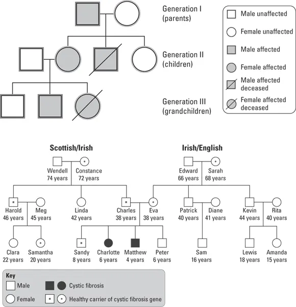 FIGURE 32Diagram of genetic history Many people have at least one - фото 48