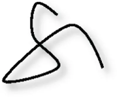 The intersecting point is not locally homogeneous 2D surface - фото 109