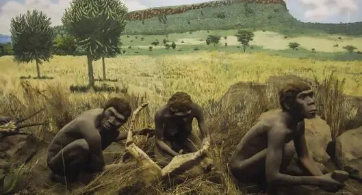 Figure 23bDiorama in the Nairobi National Museum of Homo habilis CCBY 20 - фото 7