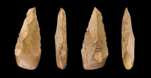 Figure 23c Acheulean tools used by Homo erectus Courtesy Didier Descouens - фото 8
