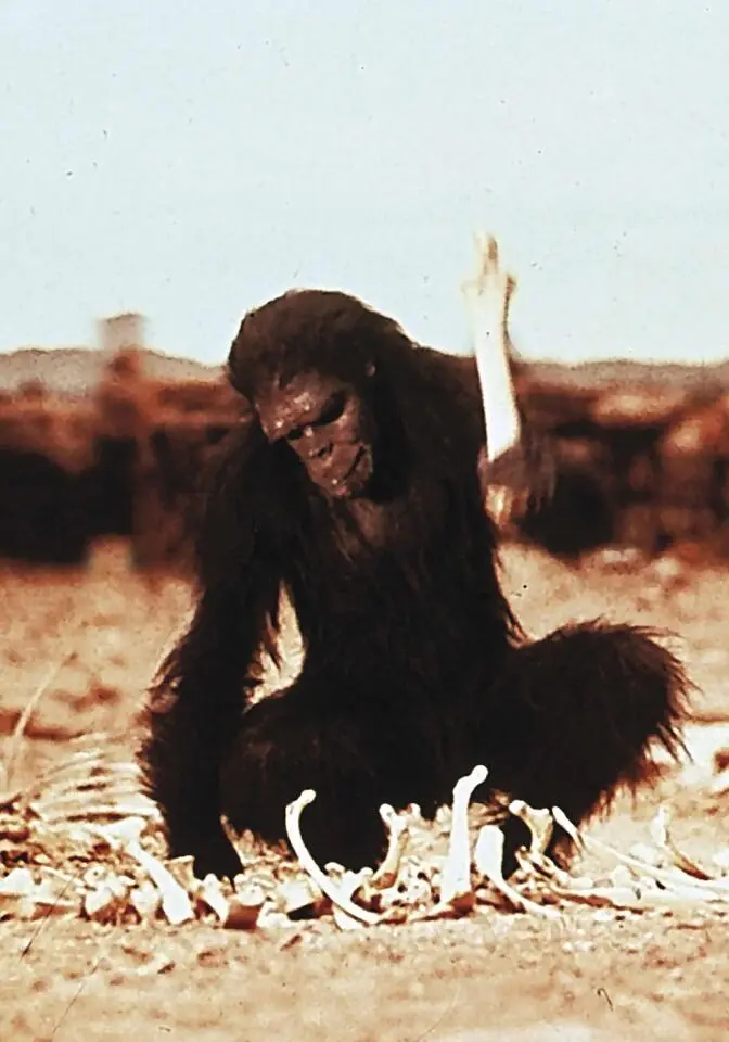 Figure 21Hollywoods view of Australopithecus as seen in the movie 2001 A - фото 4