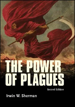 Irwin W. Sherman The Power of Plagues обложка книги
