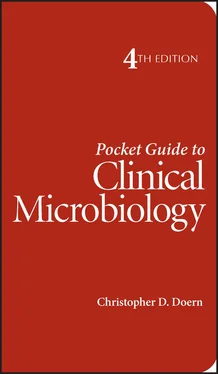 Christopher D. Doern Pocket Guide to Clinical Microbiology обложка книги