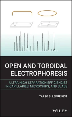 Tarso B. Ledur Kist Open and Toroidal Electrophoresis обложка книги