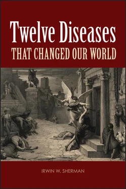 Irwin W. Sherman Twelve Diseases that Changed Our World обложка книги
