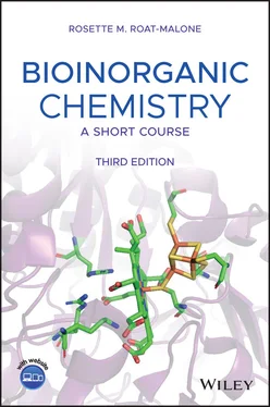 Rosette M. Roat-Malone Bioinorganic Chemistry обложка книги