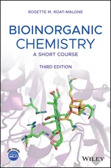 Rosette M. Roat-Malone - Bioinorganic Chemistry