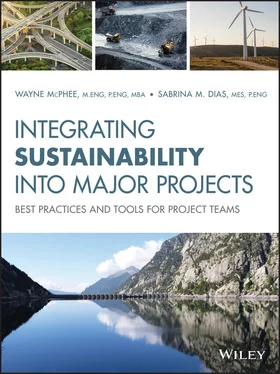 Wayne McPhee Integrating Sustainability Into Major Projects обложка книги