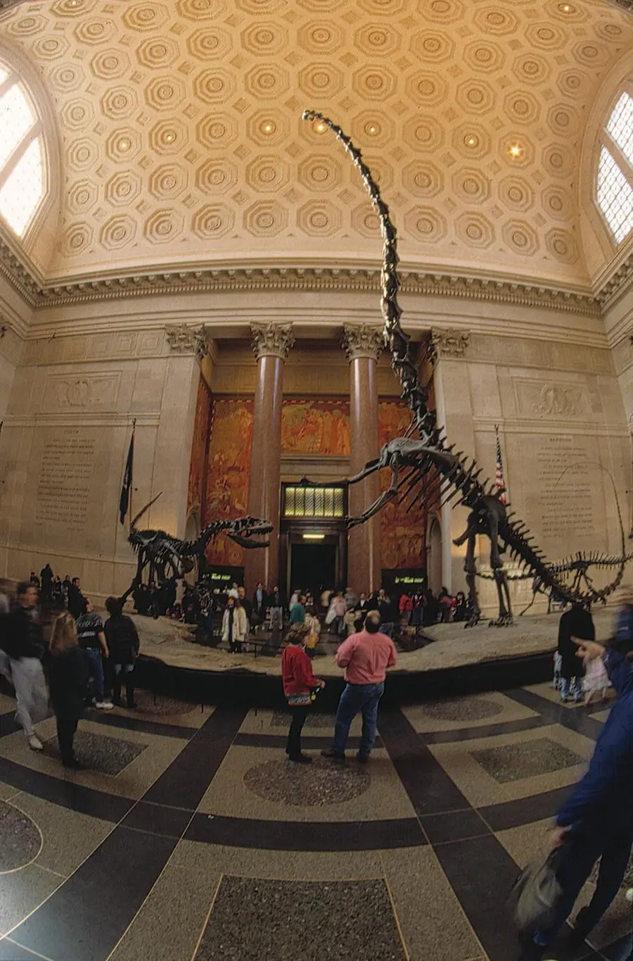 Figure I1The 40foot Barosaurus welcomes visitors every day to the American - фото 2