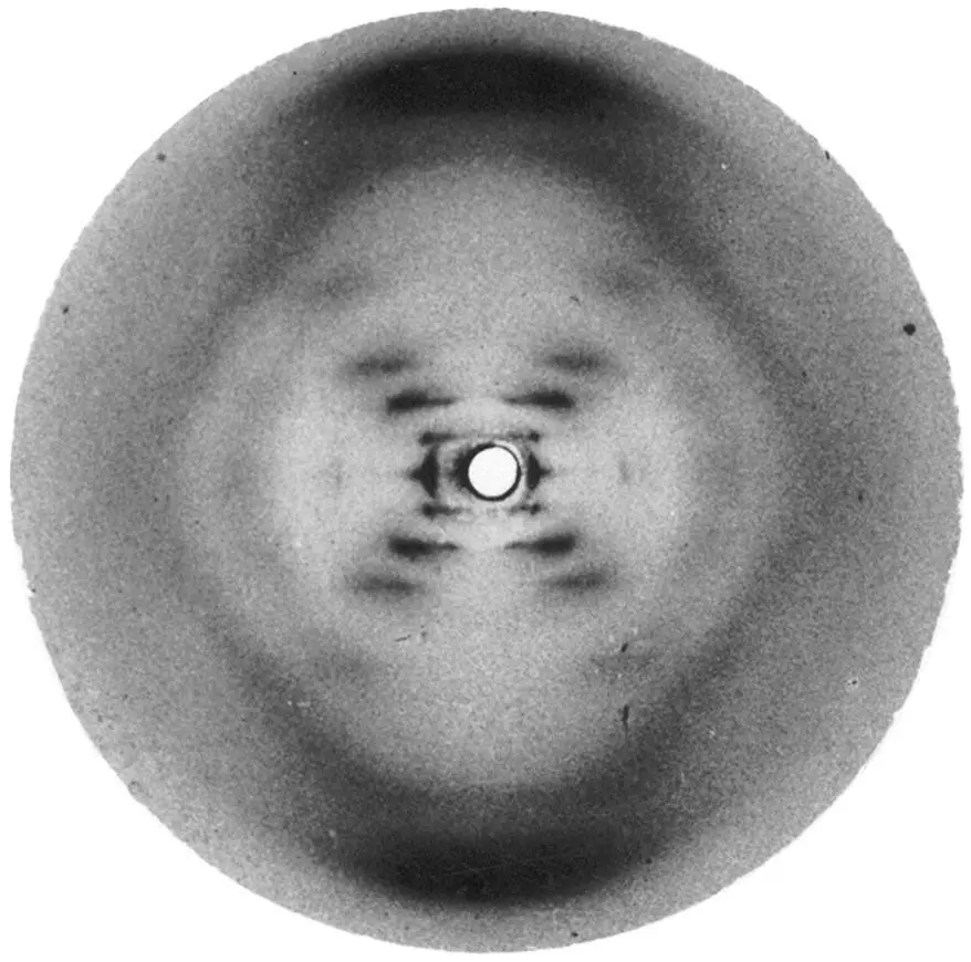 Figure 110Franklins Xray crystallography of DNA shown to James Watson - фото 14