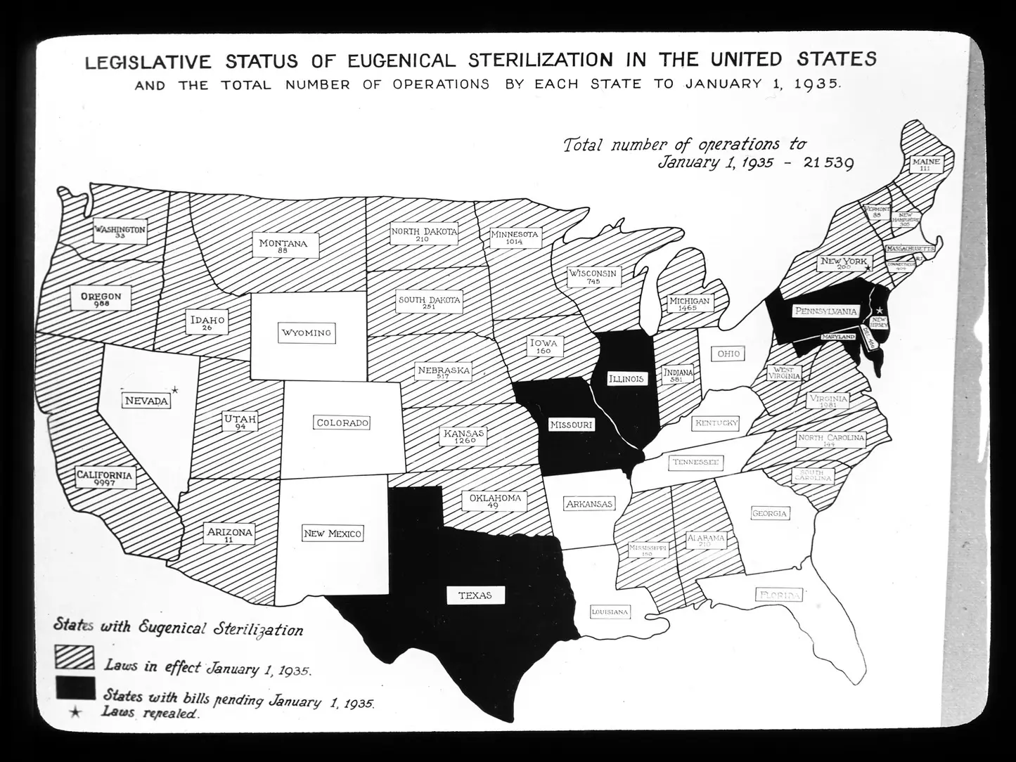 Figure 17This eugenic map shows an estimate state by state of the number of - фото 10