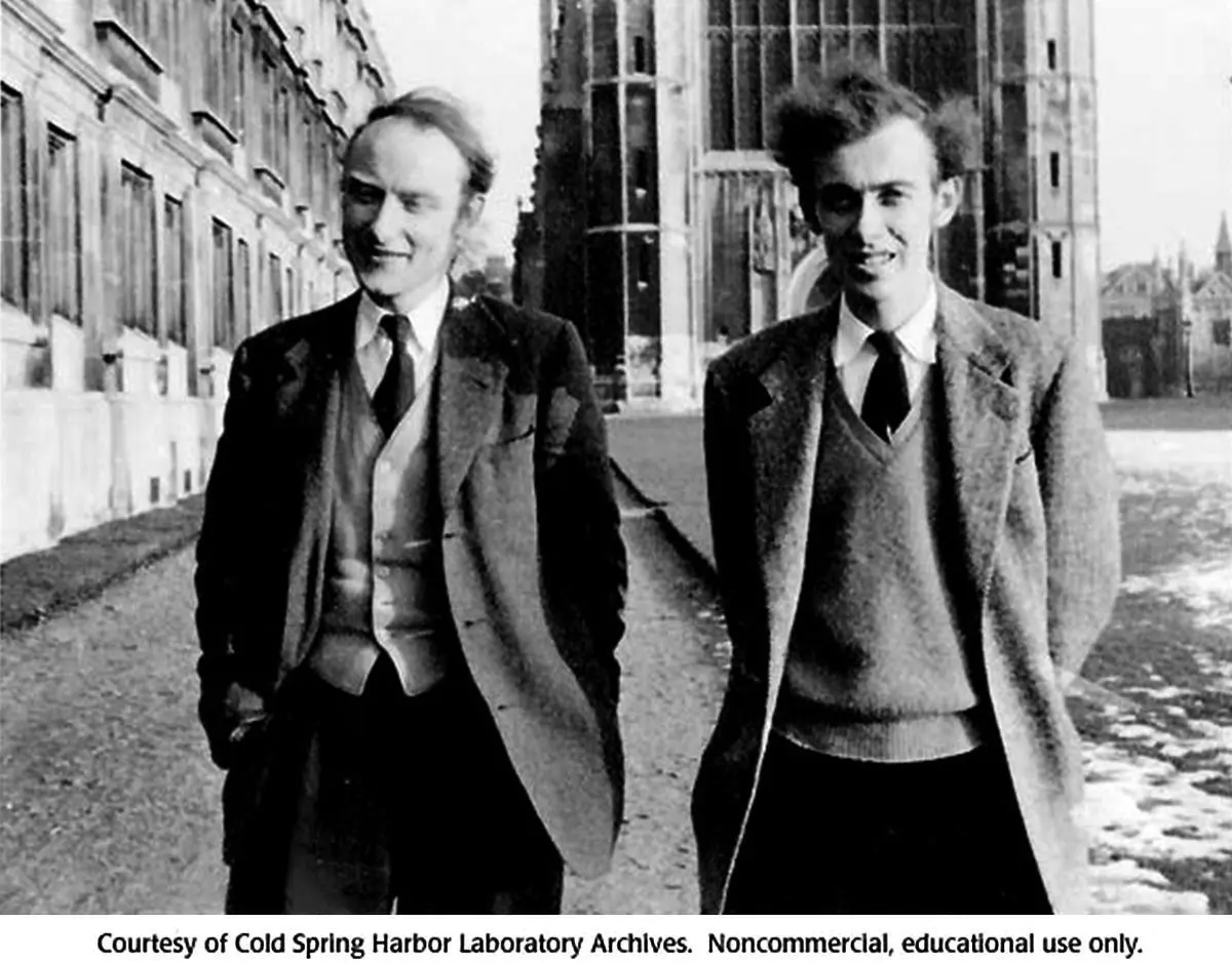 Figure 18James Watson and Francis Crick are seen here at Cambridge University - фото 12