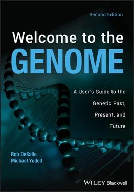 Michael Yudell Welcome to the Genome обложка книги