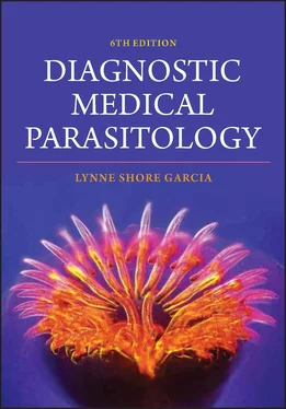 Lynne Shore Garcia Diagnostic Medical Parasitology обложка книги