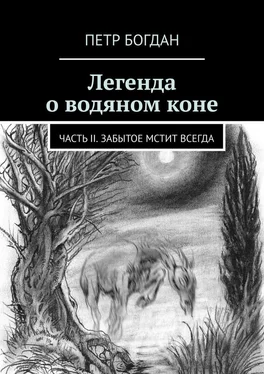 Петр Богдан Легенда о водяном коне. Часть II. Забытое мстит всегда обложка книги