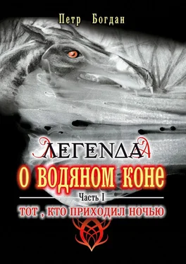 Петр Богдан Легенда о водяном коне. Часть I. Тот, кто приходил ночью обложка книги