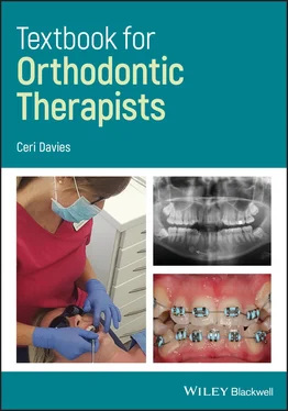 Ceri Davies Textbook for Orthodontic Therapists обложка книги