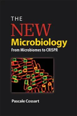 Pascale Cossart The New Microbiology обложка книги