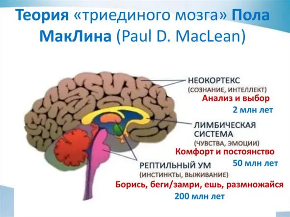 Представьте себе на минутку что в нас заложены программы много миллионов лет - фото 1
