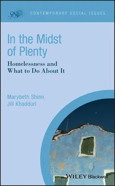 Marybeth Shinn In the Midst of Plenty обложка книги