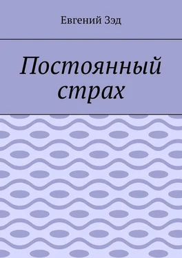 Евгений Зэд Постоянный страх обложка книги