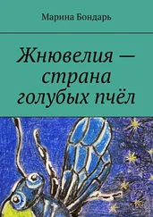 Марина Бондарь - Жнювелия – страна голубых пчёл. Детская фантастика