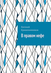 Евгений Крашенинников - В правом нефе