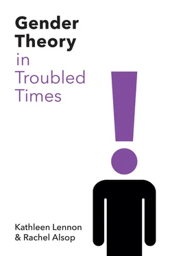 Rachel Alsop Gender Theory in Troubled Times обложка книги