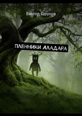 Виктор Горунов Пленники Аладара обложка книги
