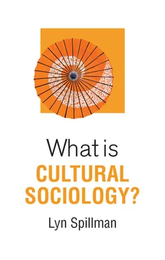 Lyn Spillman What is Cultural Sociology? обложка книги