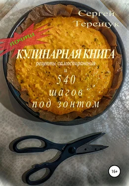 Сергей Терещук Почти кулинарная книга с рецептами самосохранения и 540 шагов под зонтом обложка книги