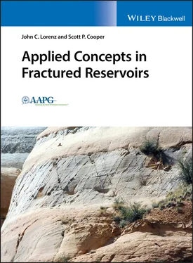 John C. Lorenz Applied Concepts in Fractured Reservoirs обложка книги