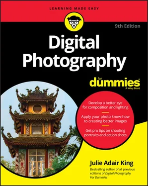 Julie Adair King Digital Photography For Dummies обложка книги