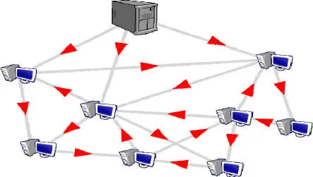 Figure 11 P2P diagram Evroux et al 2014 For a color version of this - фото 2